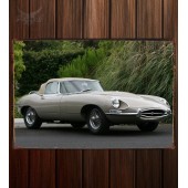 Металлическая табличка Jaguar E-Type Roadster (Series II) 340